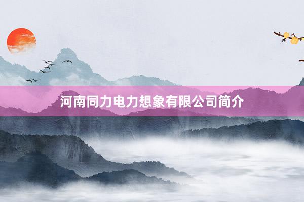 河南同力电力想象有限公司简介