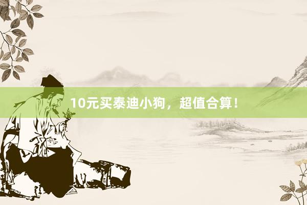 10元买泰迪小狗，超值合算！