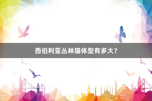 西伯利亚丛林猫体型有多大？