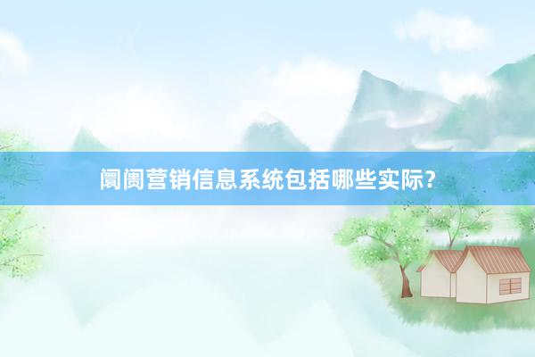 阛阓营销信息系统包括哪些实际？